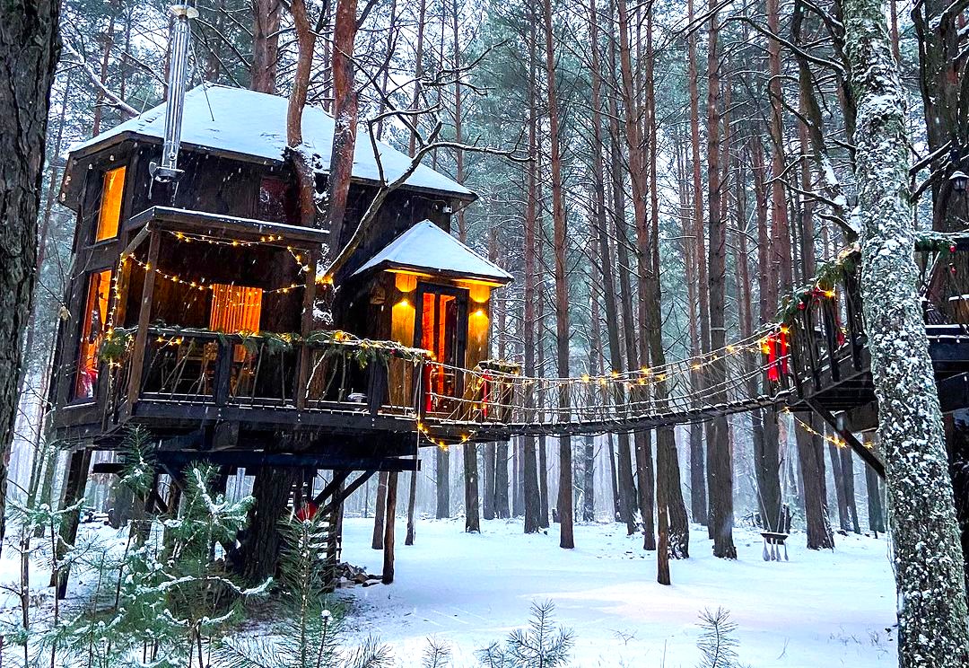 Топ 10 домиков в лесу под Киевом