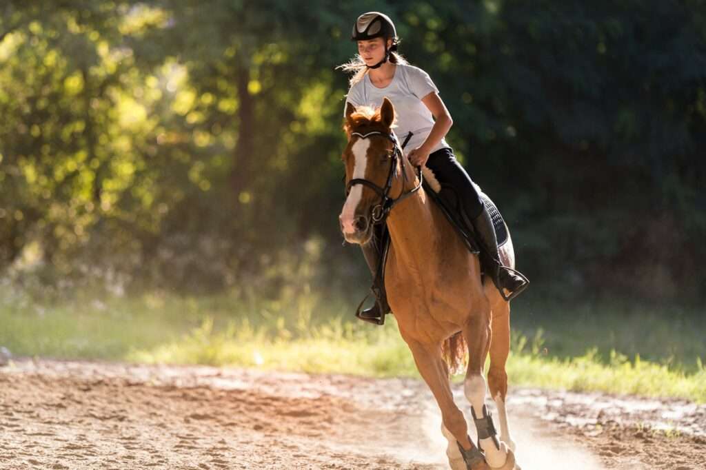 The Romance of Horseback Riding: Top Equestrian Clubs in the Kyiv Region The Romance of Horseback Riding: Top Equestrian Clubs in the Kyiv Region