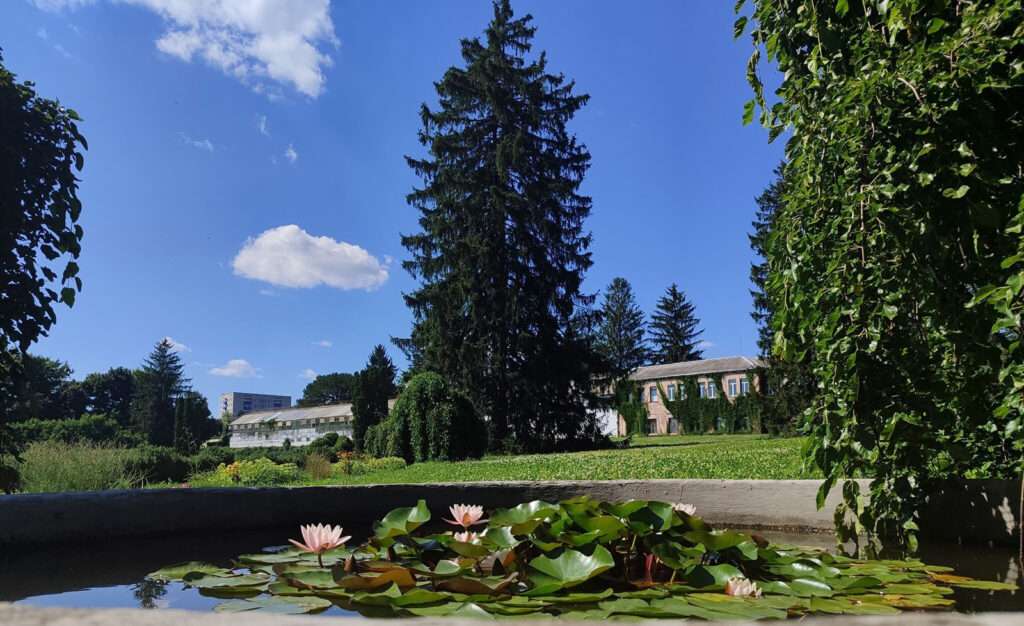 Безкоштовні розваги в Україні: від екскурсій до природних пам'яток