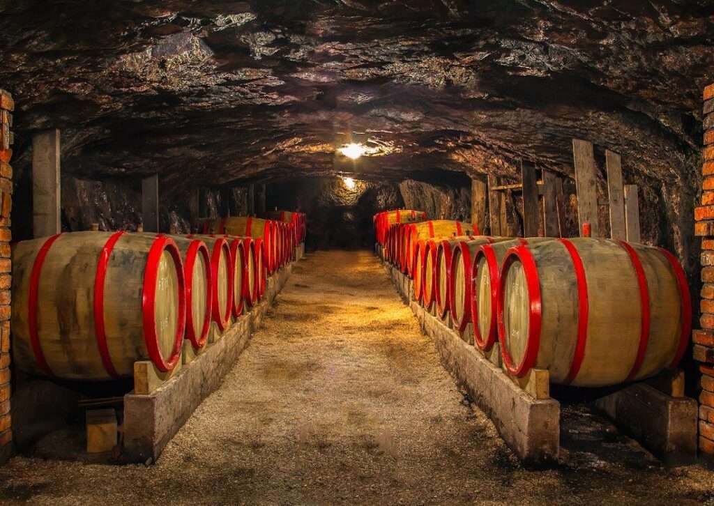 Осінні винні тури Закарпаттям та Одесою