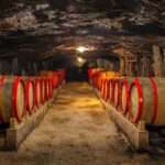 Осінні винні тури Закарпаттям та Одесою