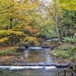 Осінні винні тури Закарпаттям та Одесою