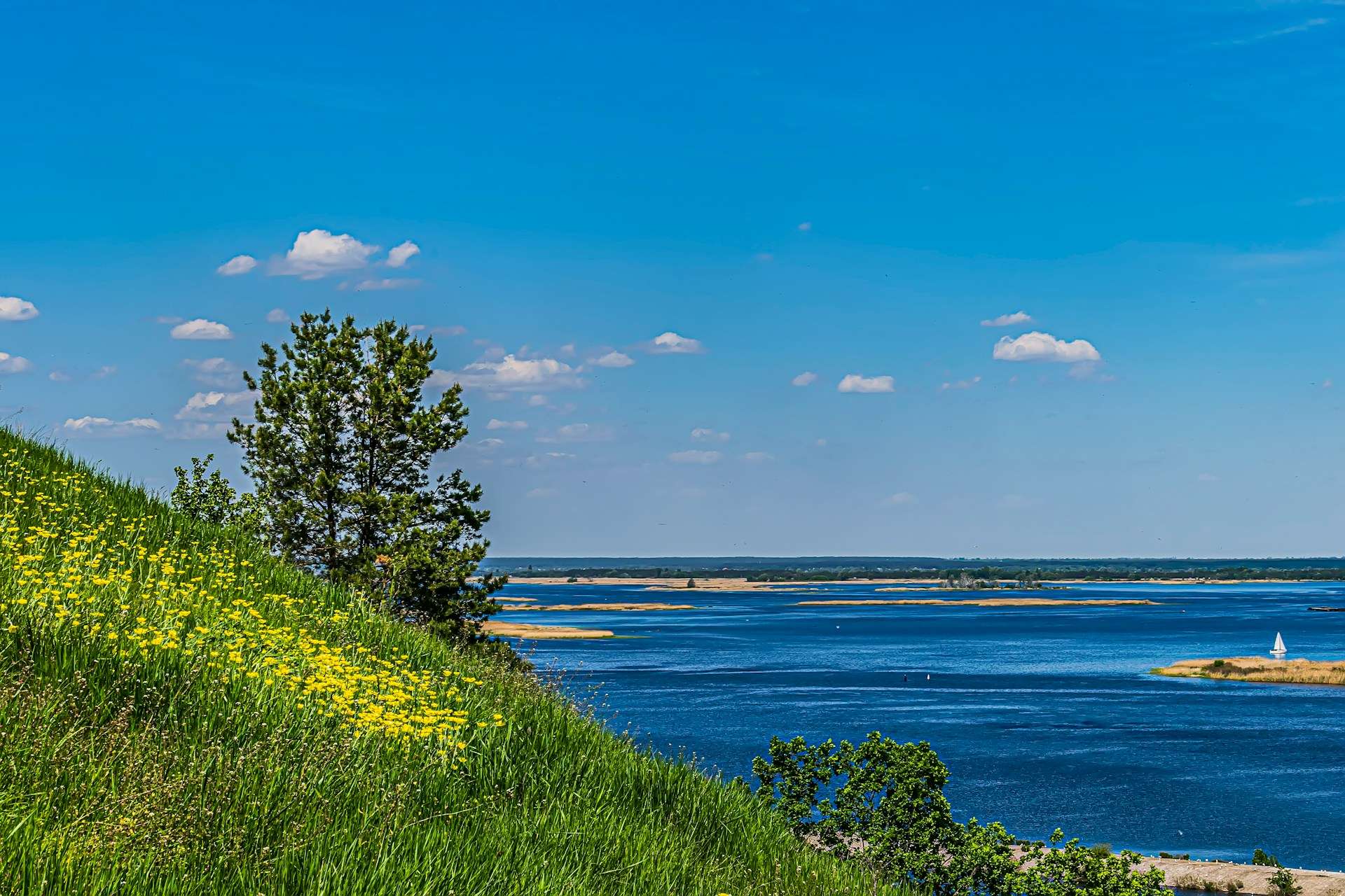 Parks and Green Areas for Picnics in the Kyiv Region: Where to Go for a Day